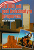 20 000 mil pod hvězdným - Václav Větvička