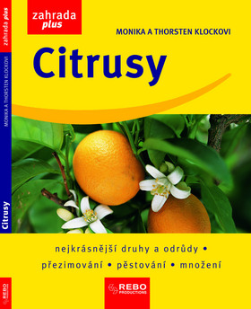 Citrusy - Monika Klock; Thorsten Klock