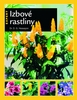 Izbové rastliny SK     SLOVART - D.G. Hessayon