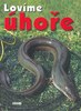 Lovíme úhoře - 