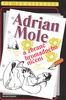 Adrian Mole a zbraně hromadného ničení - Sue Townsendová