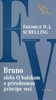 Bruno alebo O božskom a prirodzenom princípe veci - Friedrich W.J. Schelling