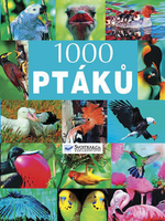 1000 ptáků - 