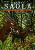 Saola - Jan Hošek; Jan Hošek