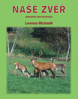Naše zvěř - Lorenzo Michaelli