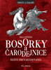 Bosorky a čarodejnice, Dejiny prenasledovania