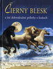 Čierny Blesk - 
