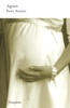 Agnes                  DAUPHIN - Peter Stamm