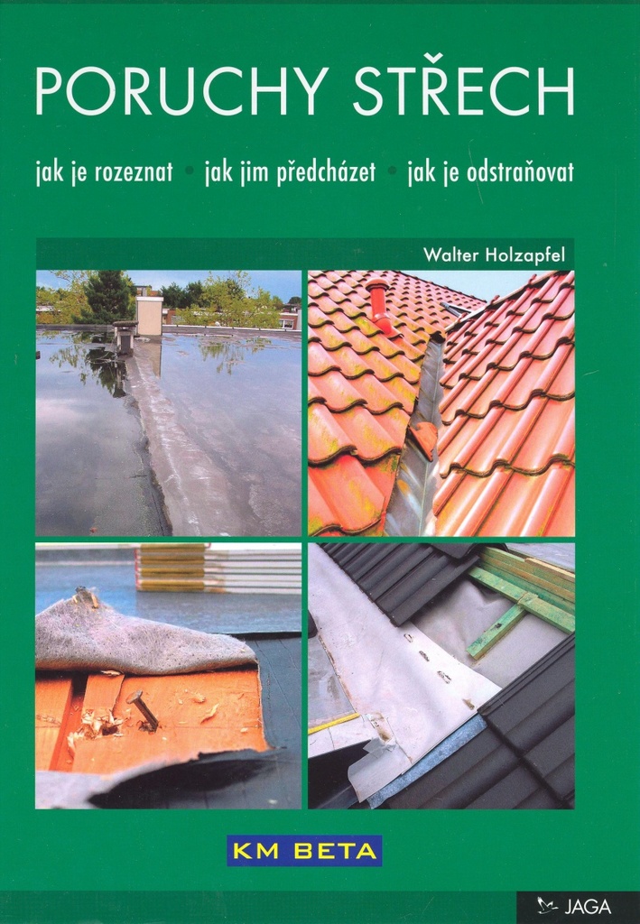 Poruchy střech - Walter Holzapfel