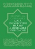 Malá encyklopedie islámu a muslimské společnosti - Bronislav Ostřanský