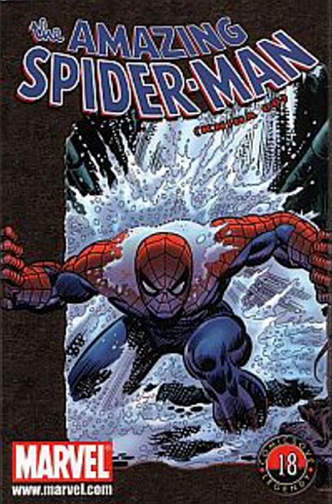 Amazing Spider-Man - Stan Lee