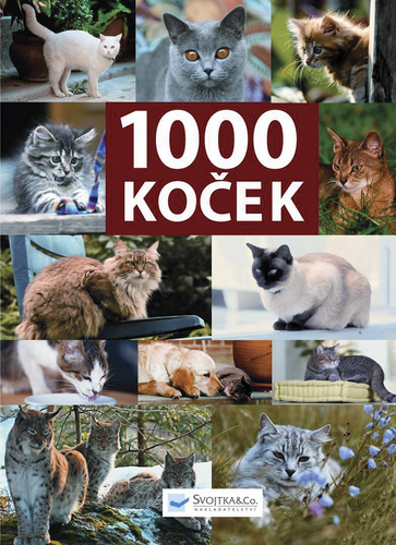 1000 koček -