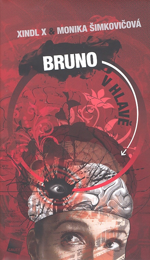 Bruno v hlavě - Monika Šimkovičová