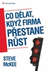 Co dělat, když firma přestane růst - Steve McKee