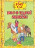 Boj o tajnú skrýšu - Ruth Gellersenová; Melanie Brockampová