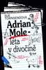 Adrian Mole - léta v divočině - Sue Townsendová