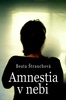 Amnestia v nebi - Beata Štrauchová