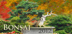 Bonsaj - stolní kalendář 2012 - 