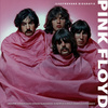 Pink Floyd ilustrovaná biografie - 