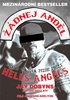 Žádnej anděl, Moje tajná mise mezi Hells Angels