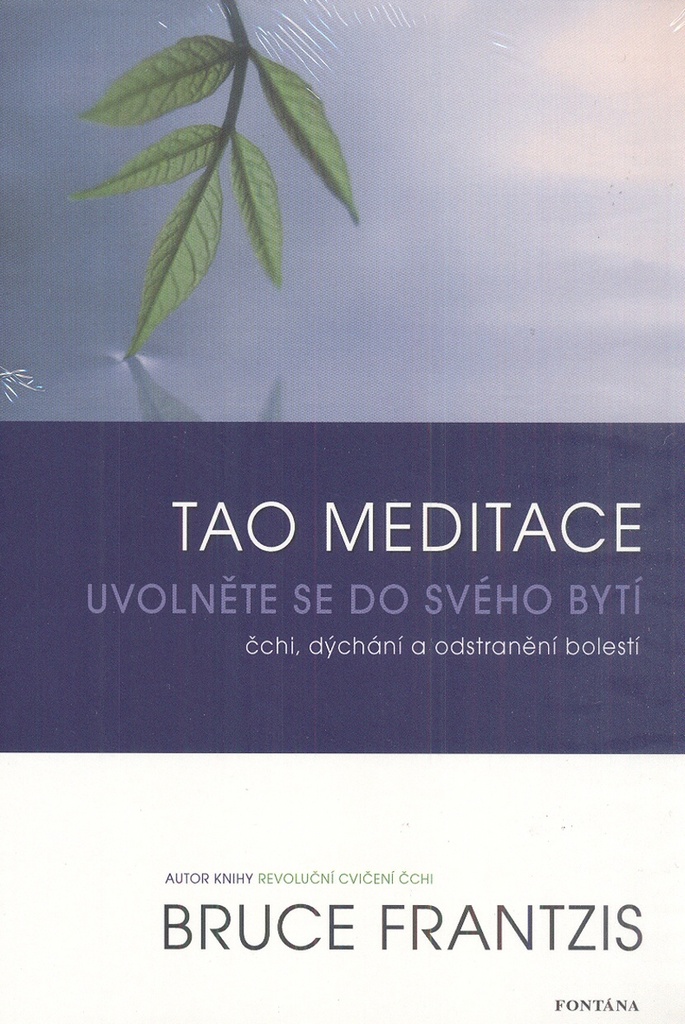 Tao meditace - Bruce Frantzis