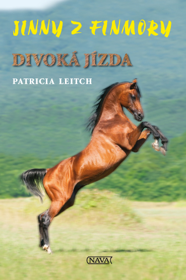 Jinny z Finmory Divoká jízda - Patricia Leitch