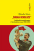 Druhá revoluce, Stalinská transformace v Sovětském svazu 1928-1934