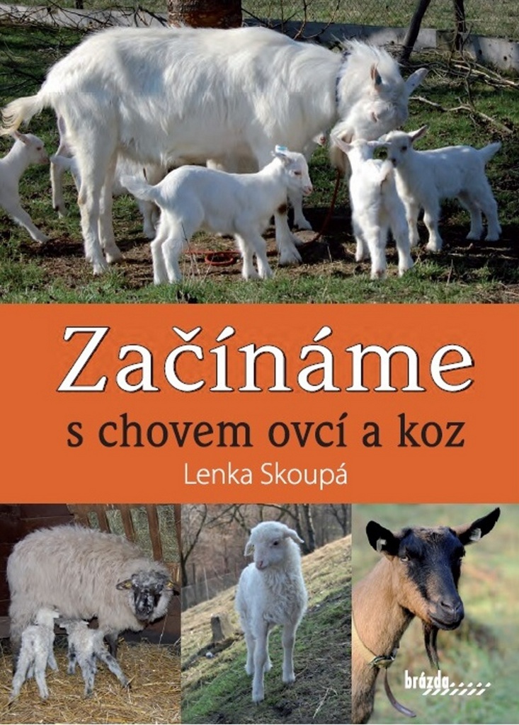 Začínáme s chovem ovcí a koz - Lenka Skoupá