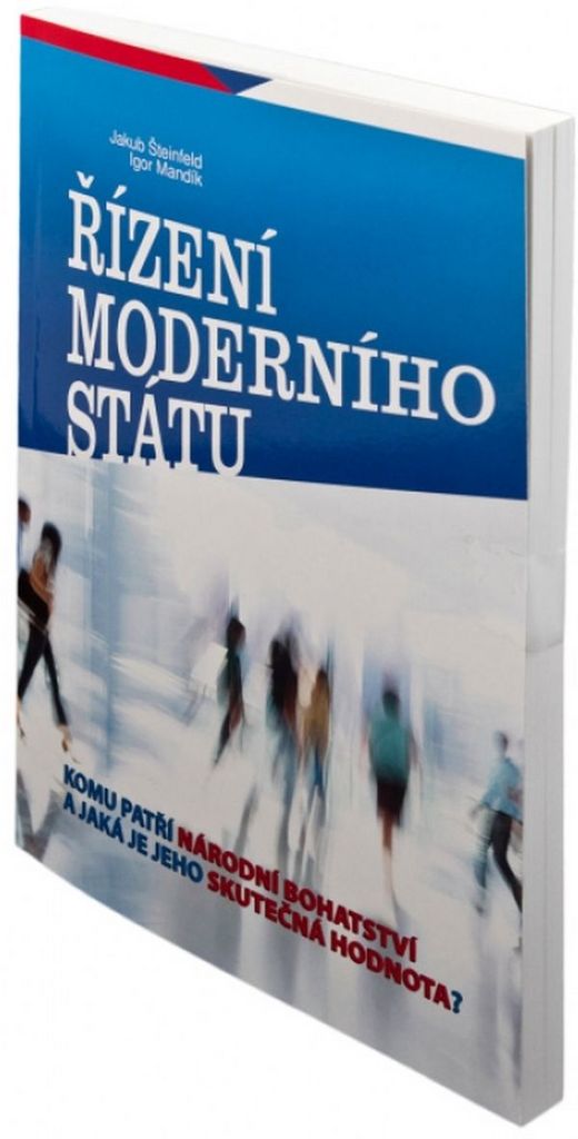 Řízení moderního státu - Igor Mandík