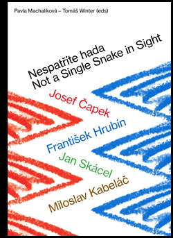 Nespatříte hada / Not a Single Snake in Sight - Pavla Machalíková