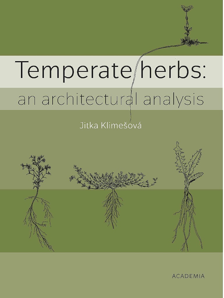 Temperate herbs - Jitka Klimešová