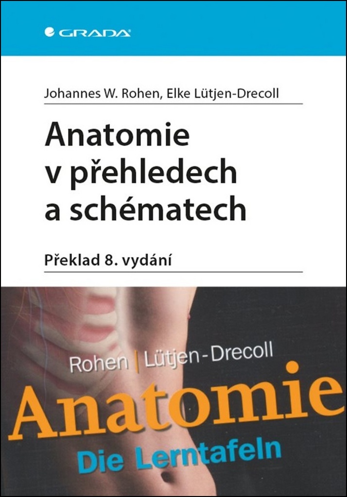 Anatomie v přehledech a schématech - Johannes W. Rohen