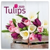 Poznámkový kalendář Tulipány 2020