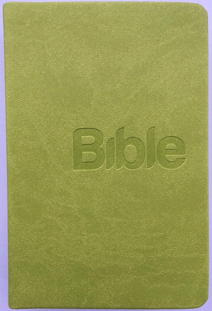 Bible - Alexandr Flek