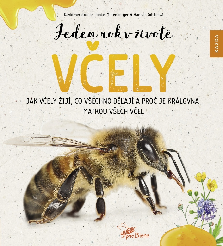 Jeden rok v životě včely - David Gerstmeier