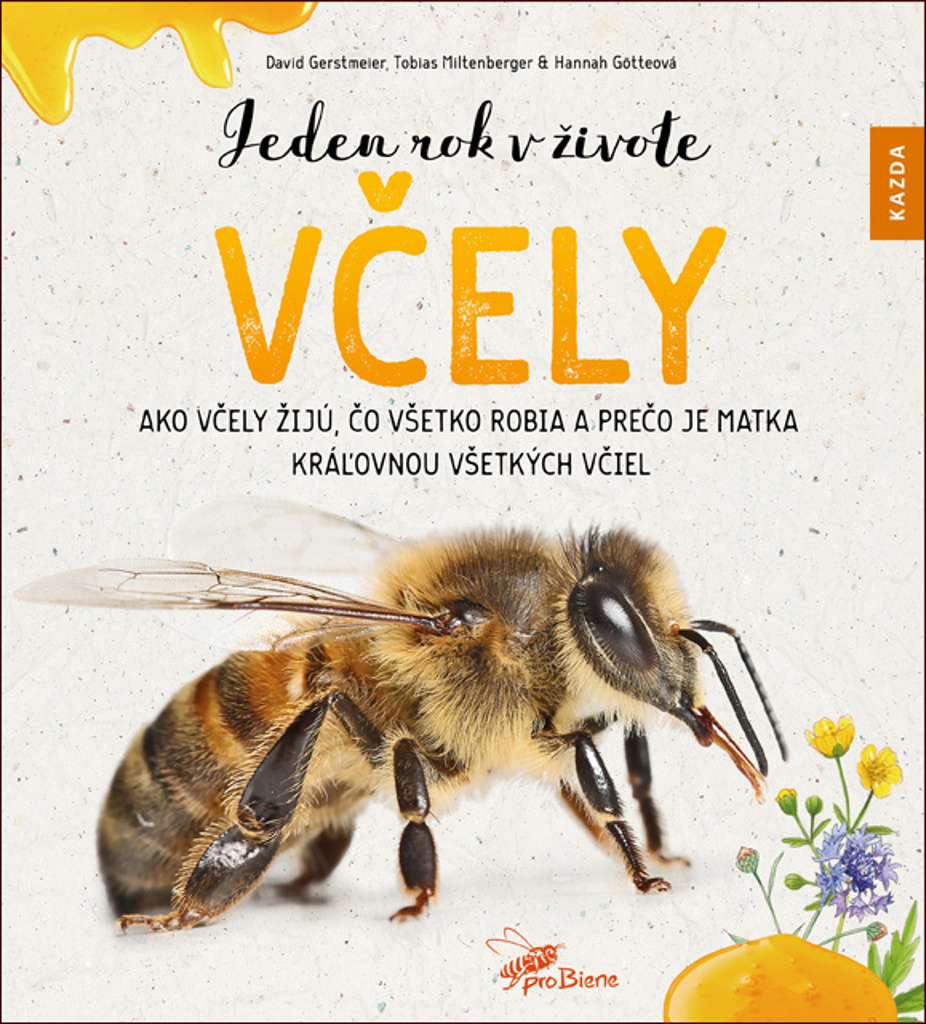Jeden rok v živote včely - David Gerstmeier