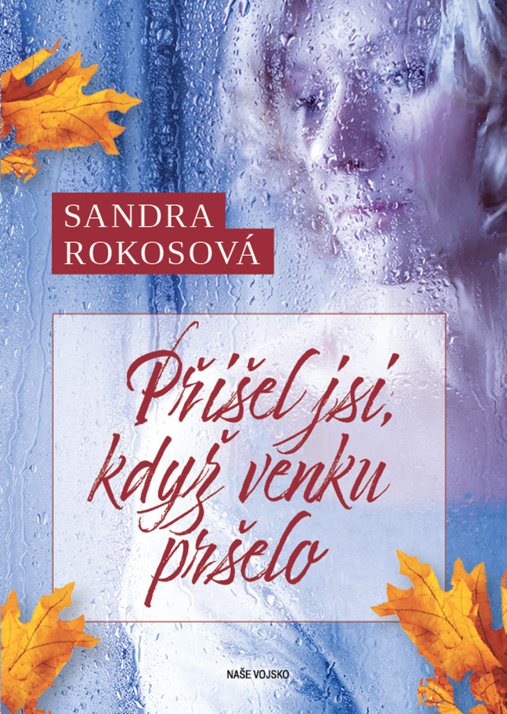 Přišel jsi, když venku pršelo - Sandra Rokosová