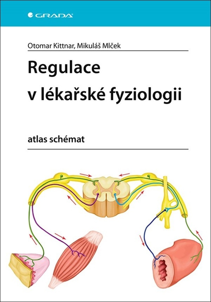 Regulace v lékařské fyziologii - Otomar Kittnar