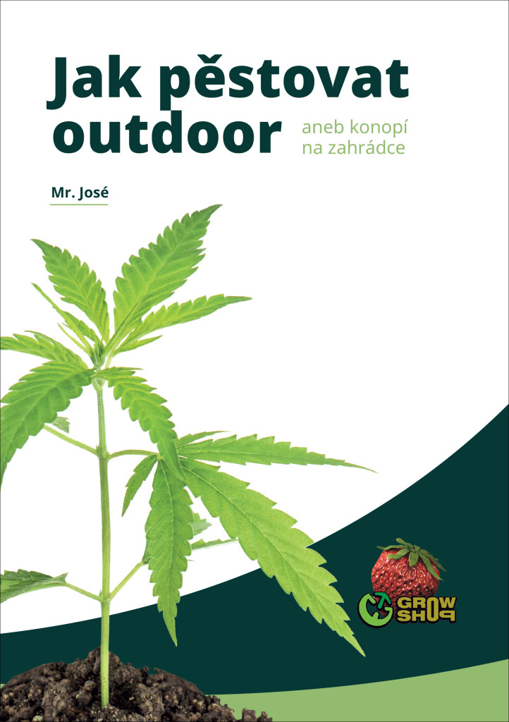 Jak pěstovat outdoor - Mr. José