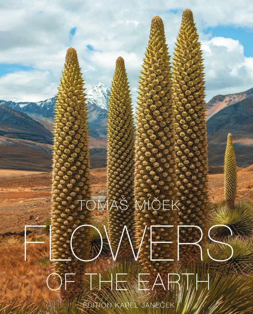 Flowers of the Earth - Tomáš Míček