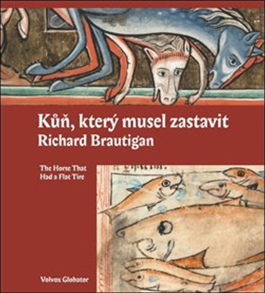 Kůň, který musel zastavit - Olga Špilarová