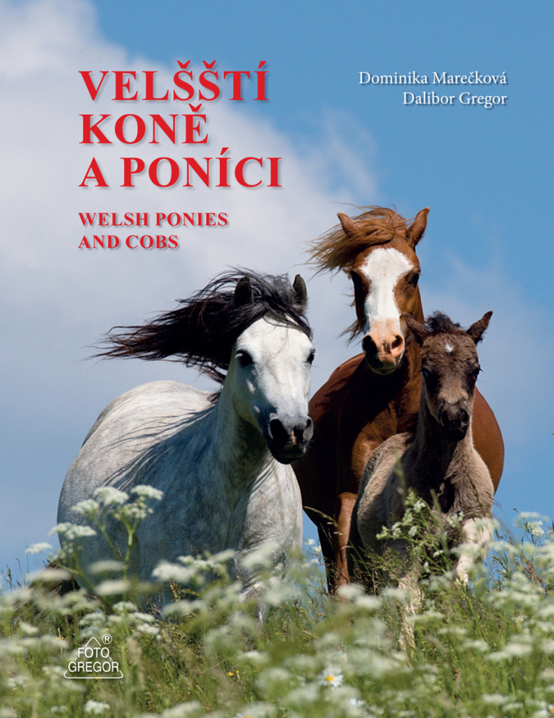 Velšští koně a poníci - Dalibor Gregor