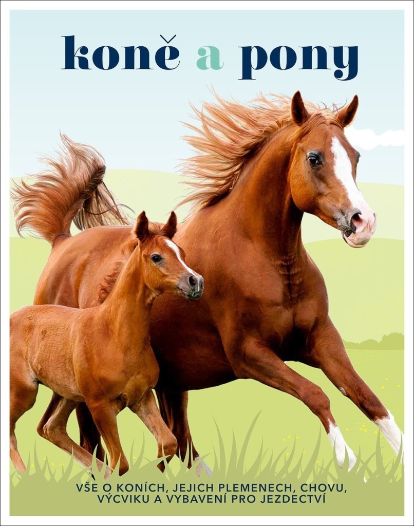 Koně a pony - Tomáš Kapic