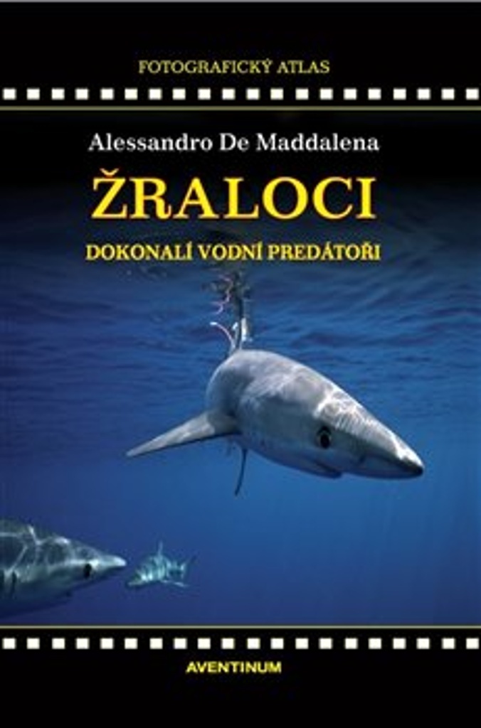Žraloci, dokonalí vodní predátoři - Alessandro De Maddalena