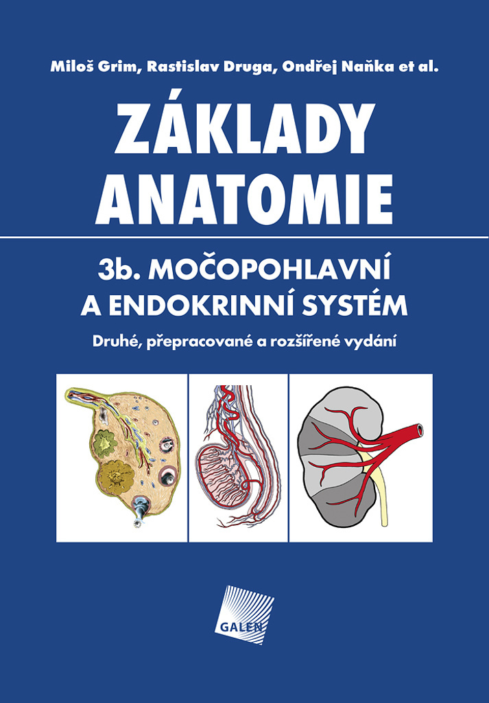 Základy anatomie 3b. - Miloš Grim