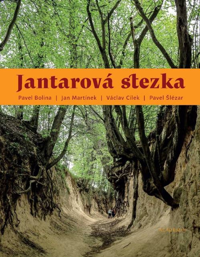 Jantarová stezka - Václav Cílek