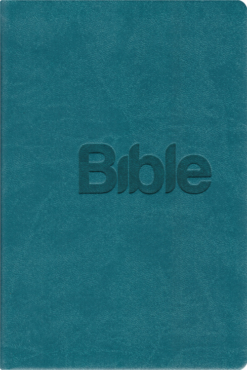 Bible 21 - Alexandr Flek