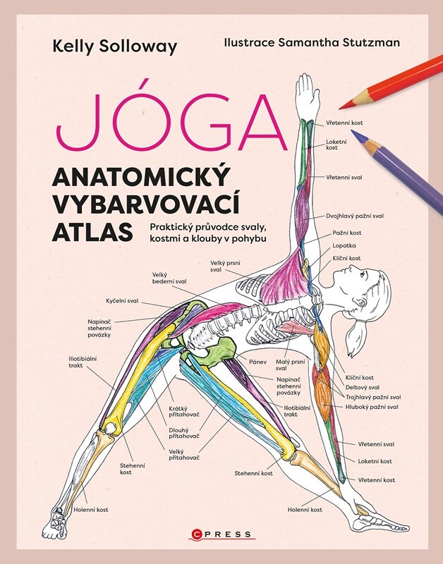Jóga Anatomický vybarvovací atlas - Kelly Solloway