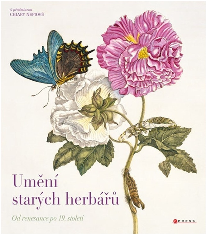 Umění starých herbářů - Hana Vašková