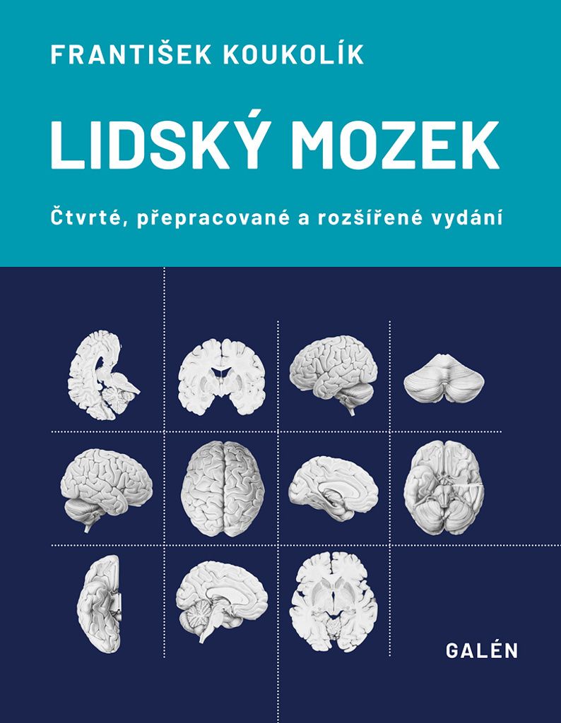 Lidský mozek - František Koukolík